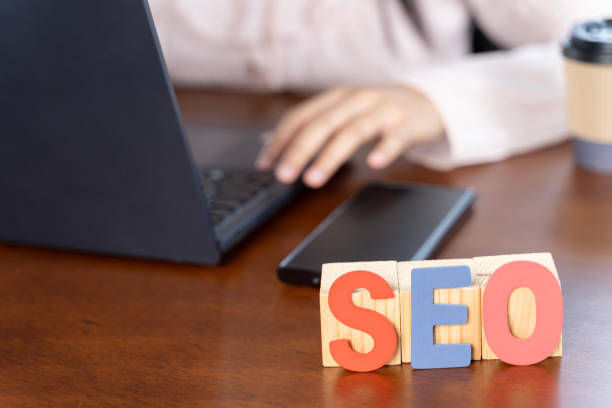 SEO Company in Hisar